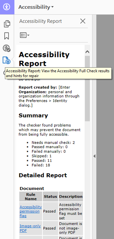 accessibility report