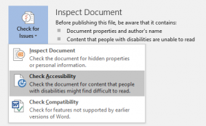 Inspect document with drop down menu and Check Accessibility highlighted